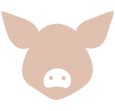 Icon of pig head